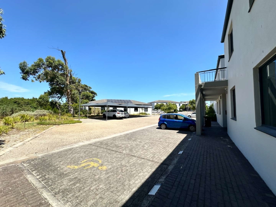 To Let 0 Bedroom Property for Rent in Kenilworth Western Cape